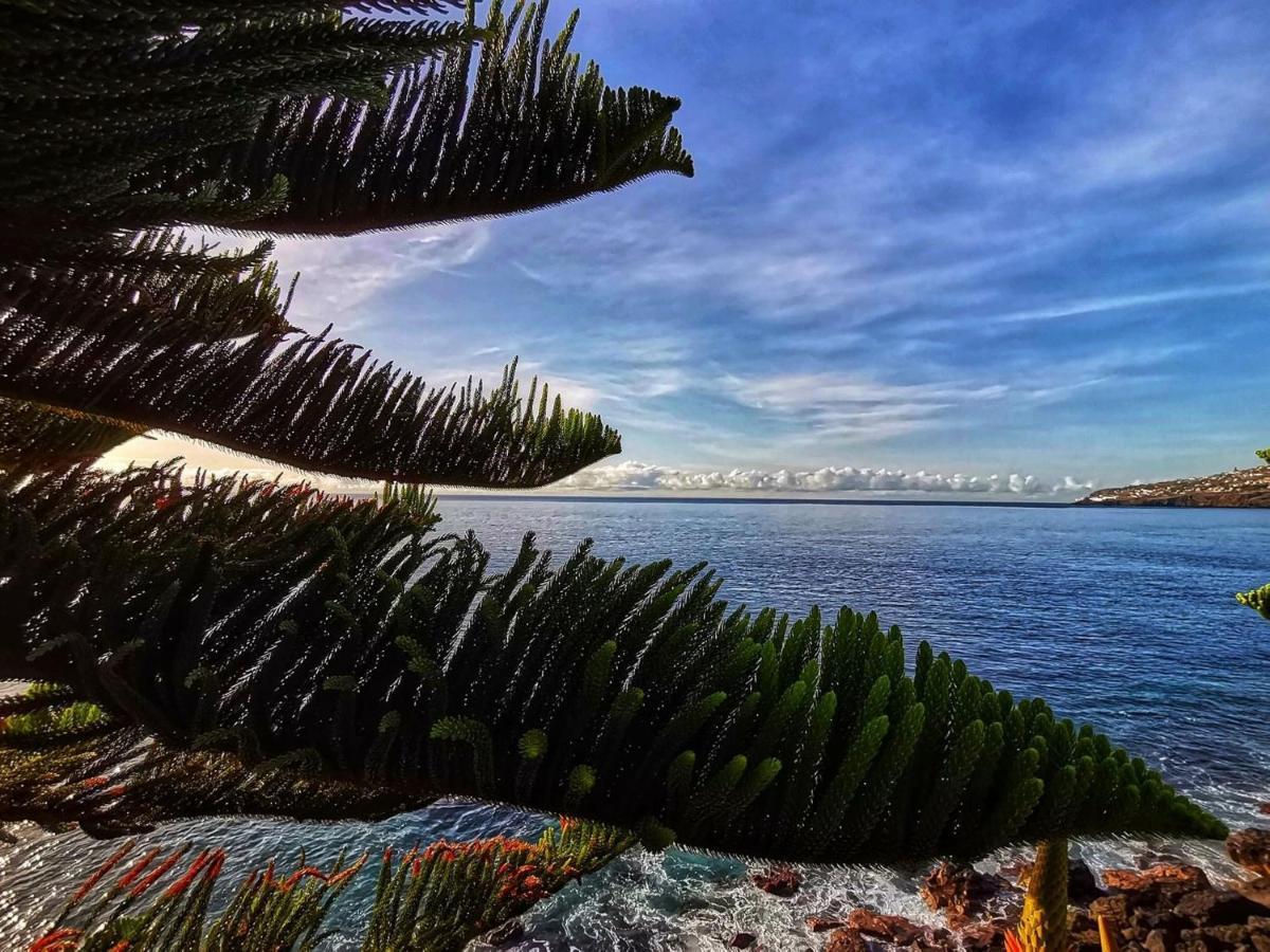Ines Seaview Apartment ฟุงชาล ภายนอก รูปภาพ